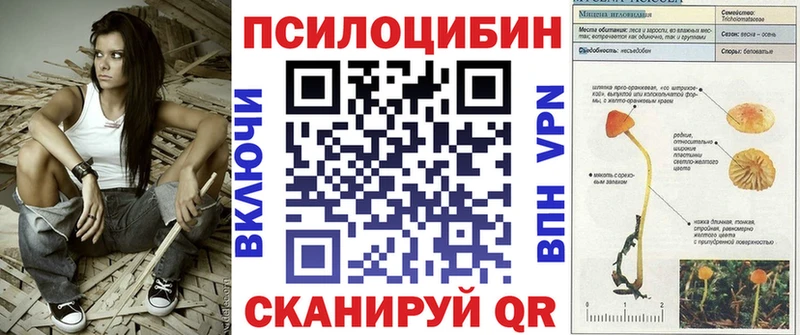 Галлюциногенные грибы мицелий  Купить  Инза 